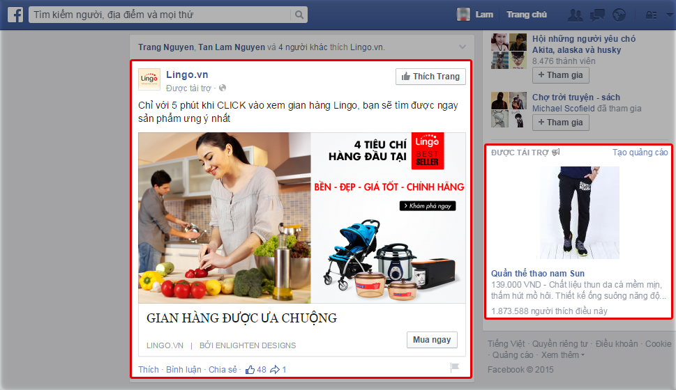 Chạy Quảng Cáo Facebook là gì ? Các Dạng Quảng Cáo Facebook ?