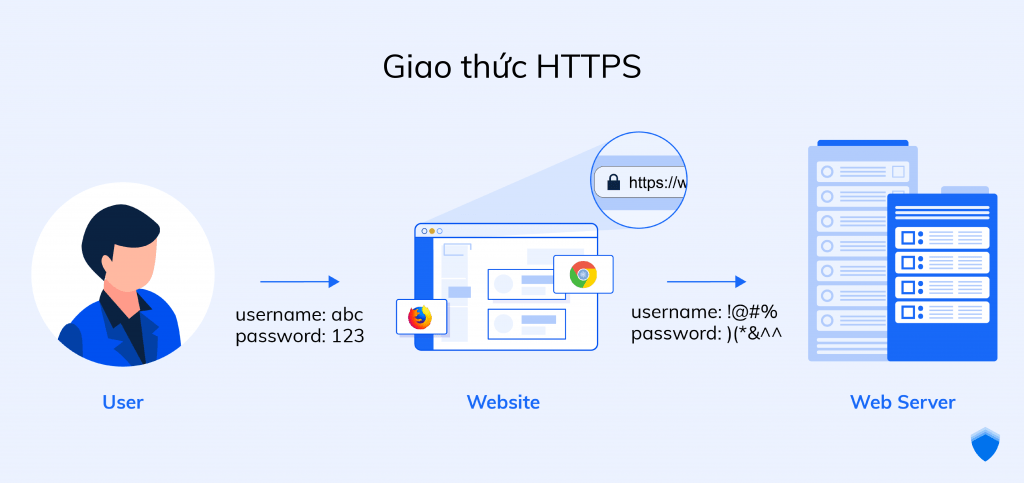 Giao thức HTTP và HTTPS là gì? Tại sao nên sử dụng HTTPS?