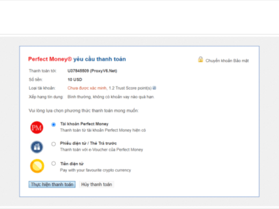Hình ảnh giao diện thanh toán của perfect money