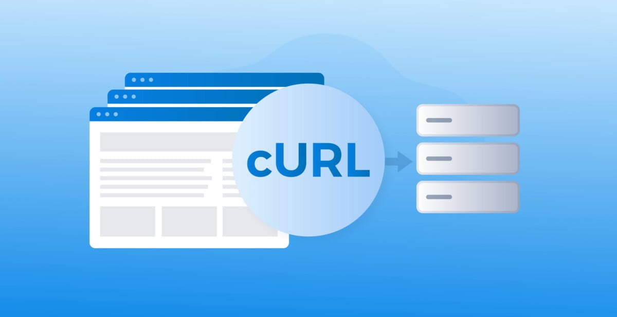 Environment Variable