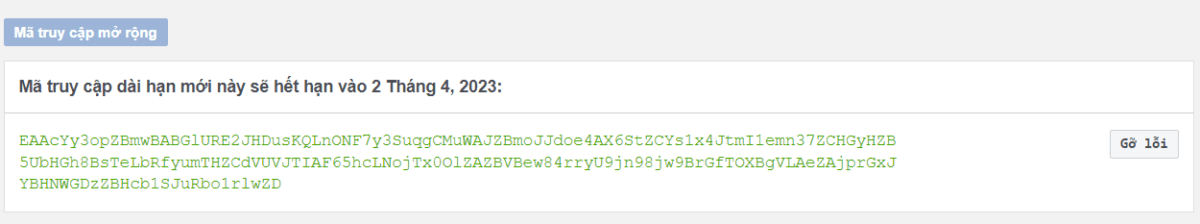 Screenshot 33 Hướng Dẫn Lấy Token Facebook Mới Nhất năm 2024