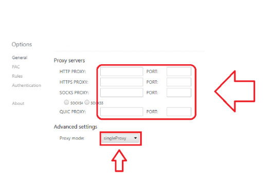 z4528931736588 a27a4e535b70aaccf190e890bb256e4f What is Proxy helper? Guide to Installing Proxy helper on Your Computer