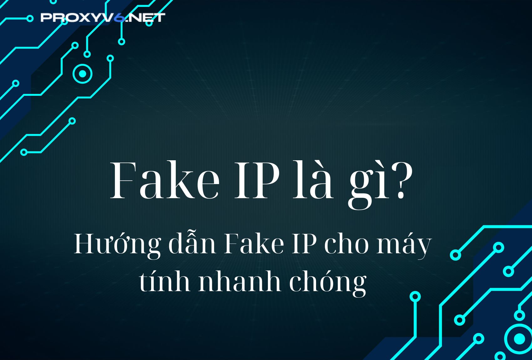 fakeipvi