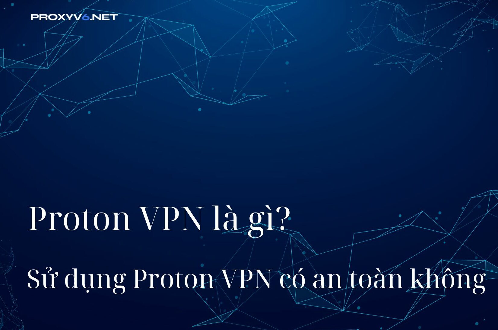 protonvpnvi