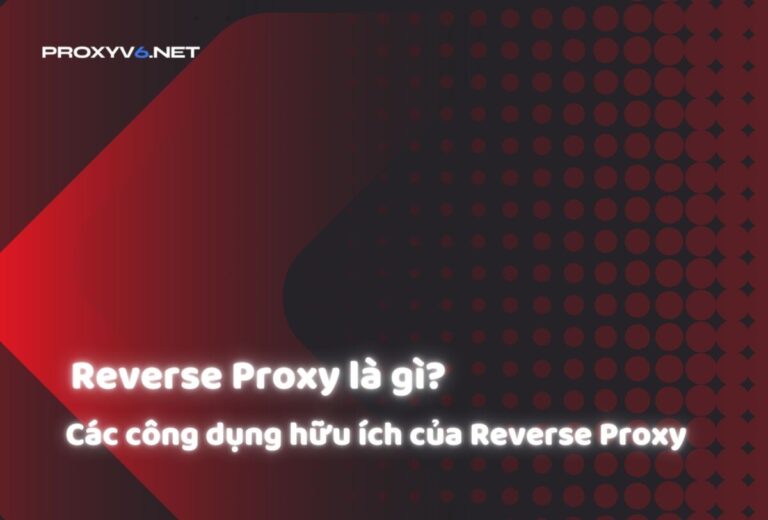 Reverse Proxy là gì? Các công dụng hữu ích của Reverse Proxy