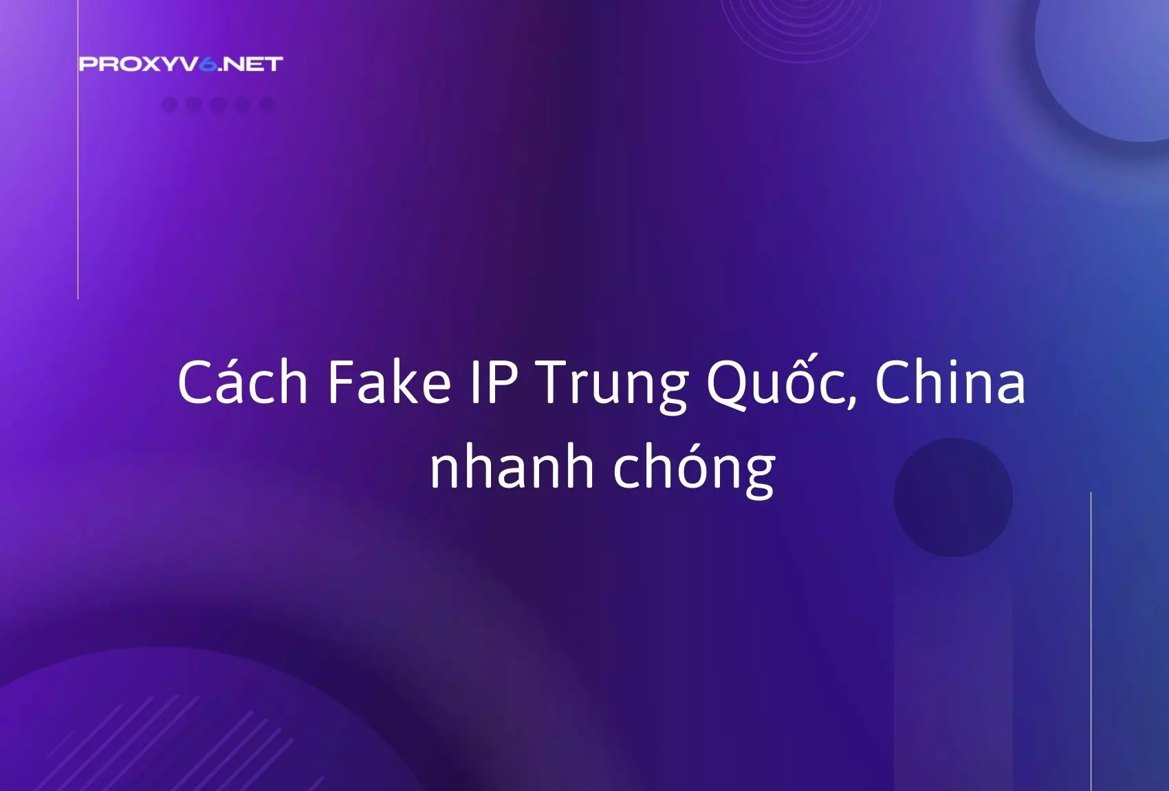 fake_ip_china_vi