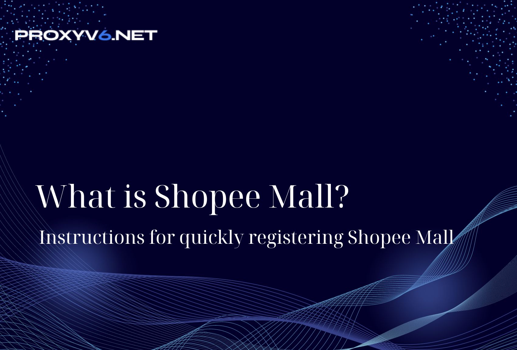 What is Shopee Mall? Instructions for quickly registering Shopee Mall