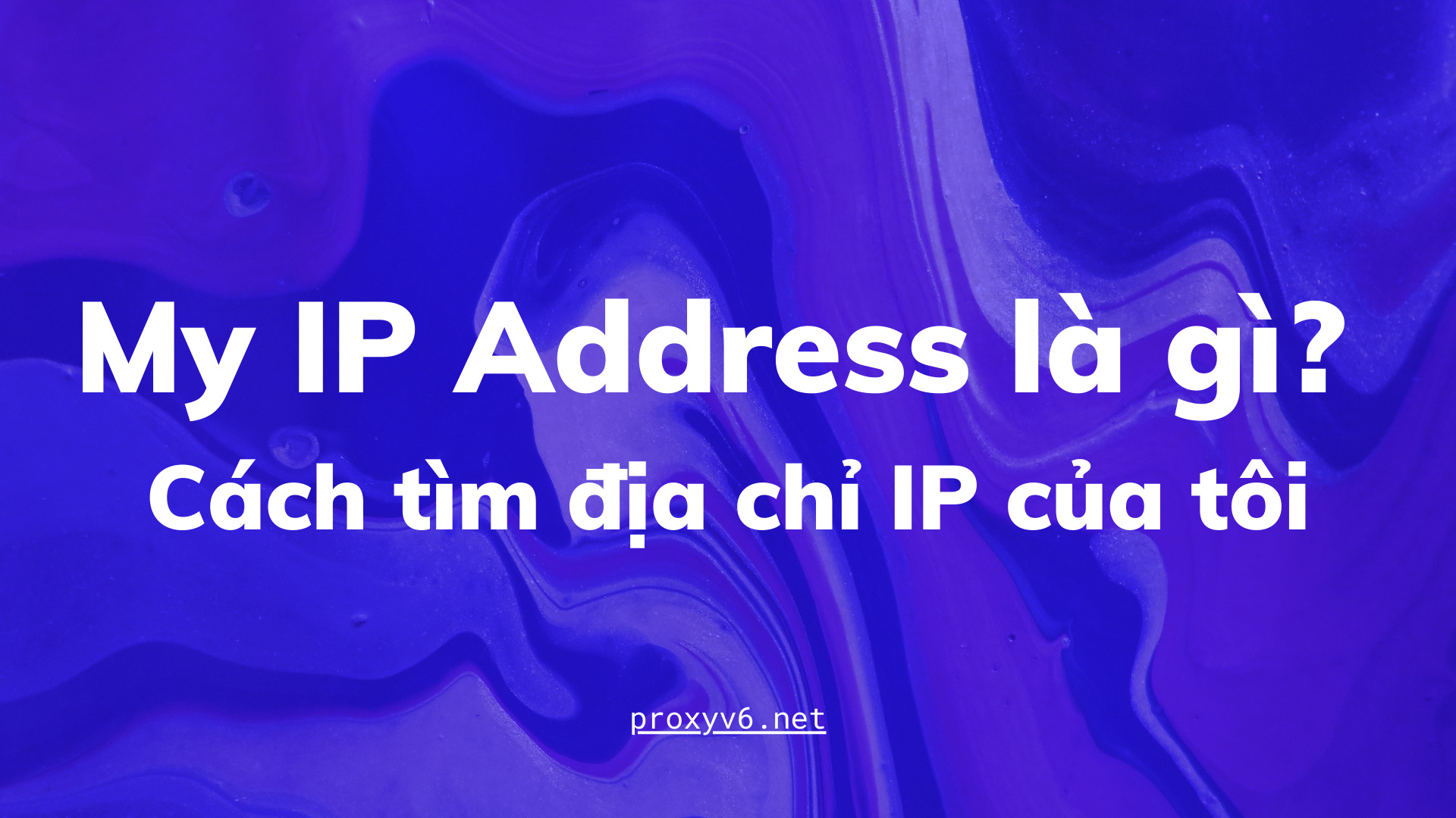 My IP Address là gì? Cách tìm địa chỉ IP của tôi