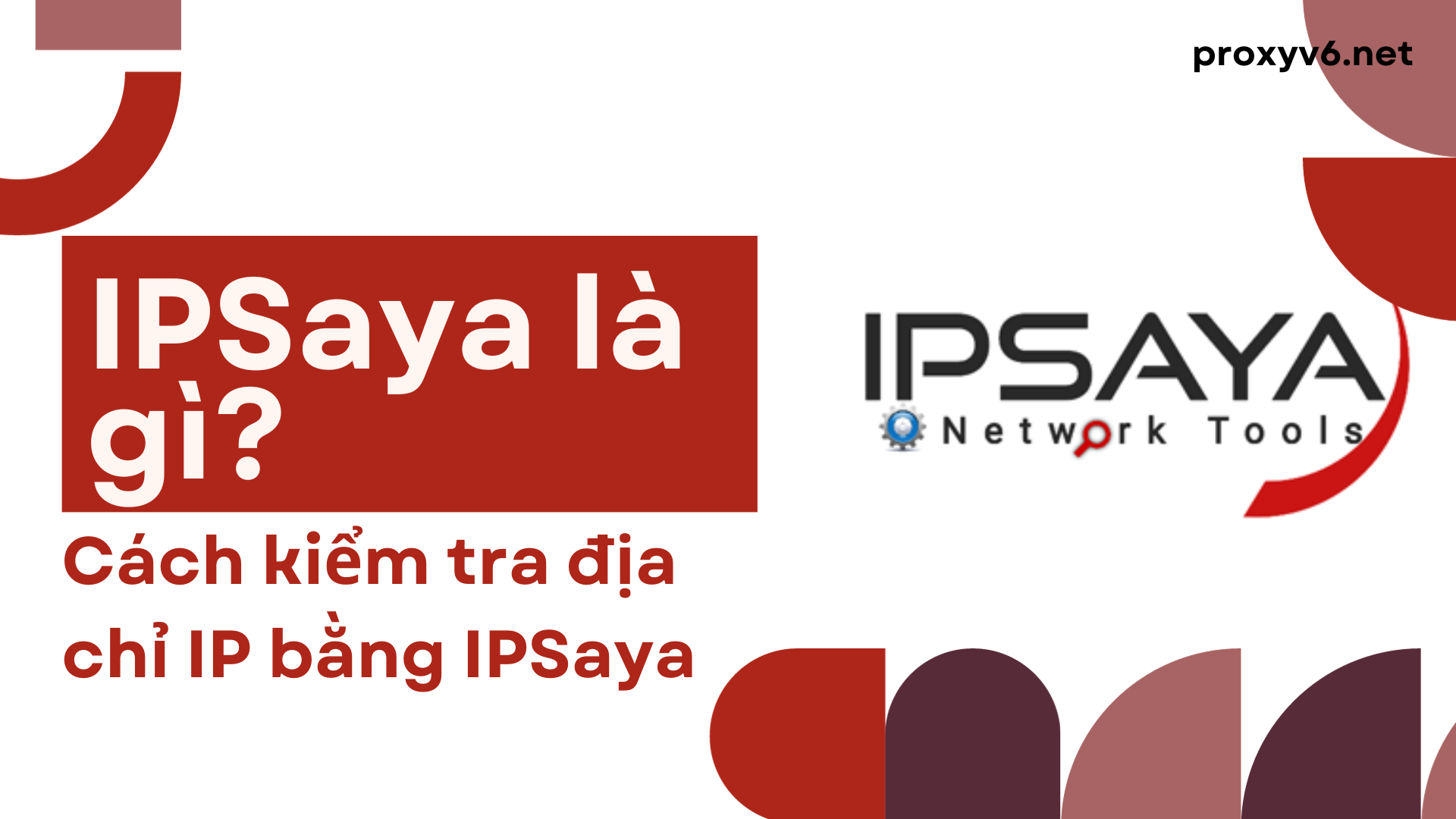 IPSaya là gì? Cách kiểm tra địa chỉ IP bằng IPSaya