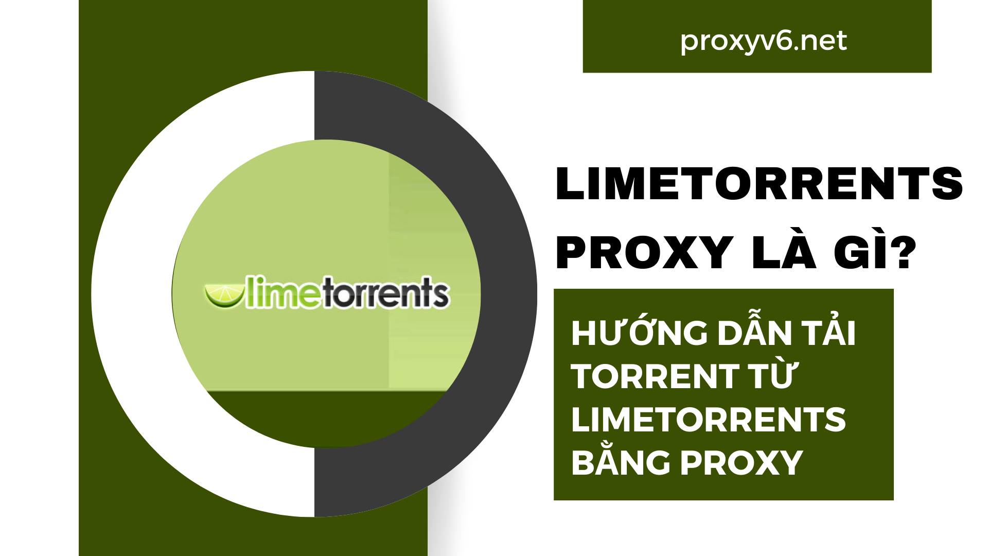 Limetorrents Proxy là gì? Hướng dẫn tải Torrent từ Limetorrents bằng Proxy