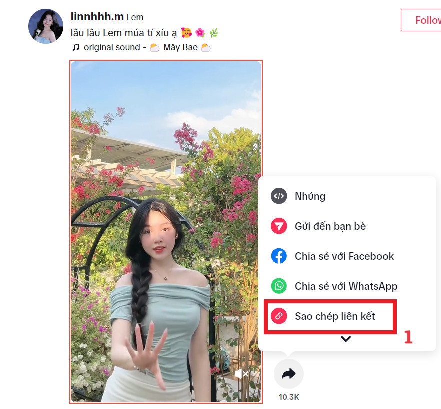 Bước 1: Mở TikTok và copy đường Link TikTok bạn muốn tải xuống