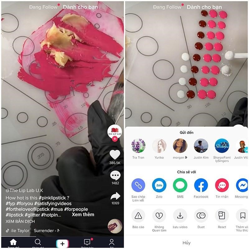 download video tiktok