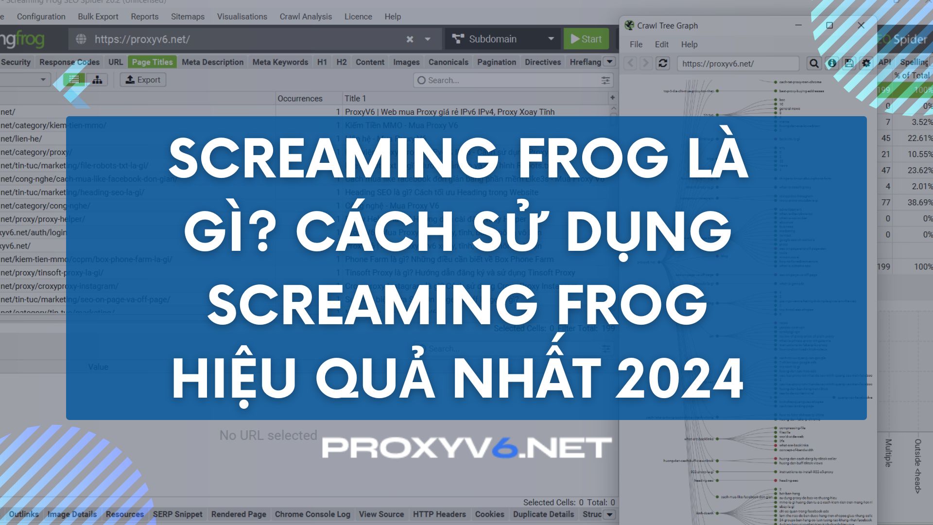 Screaming Frog là gì? Cách sử dụng Screaming Frog hiệu quả nhất 2024