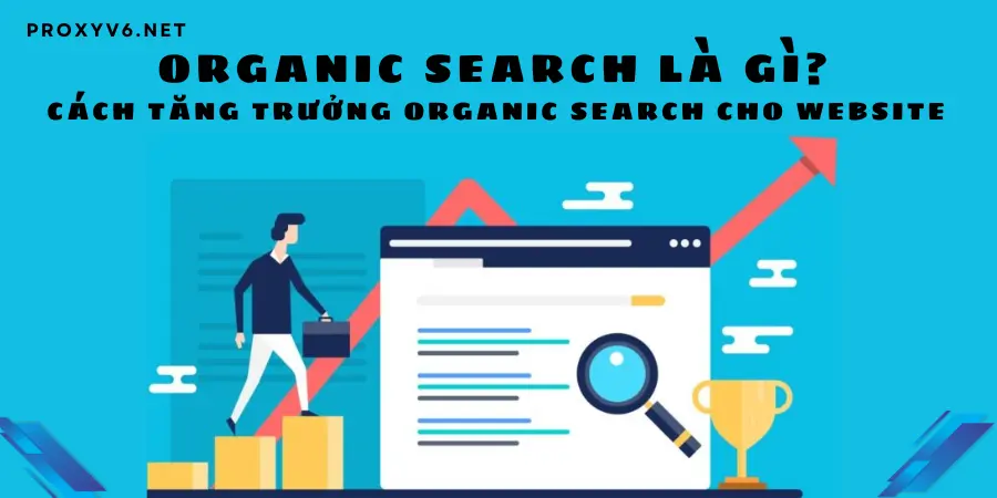 Organic Search là gì? Cách tăng trưởng Organic Search cho Website