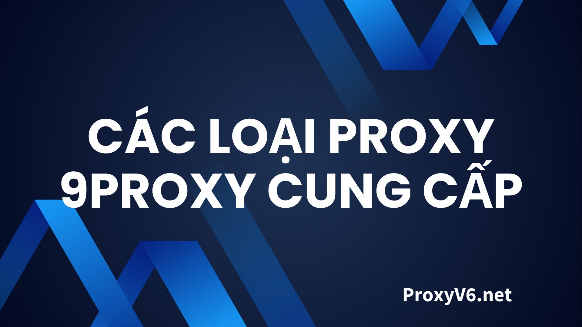 Các Loại Proxy 9Proxy Cung Cấp