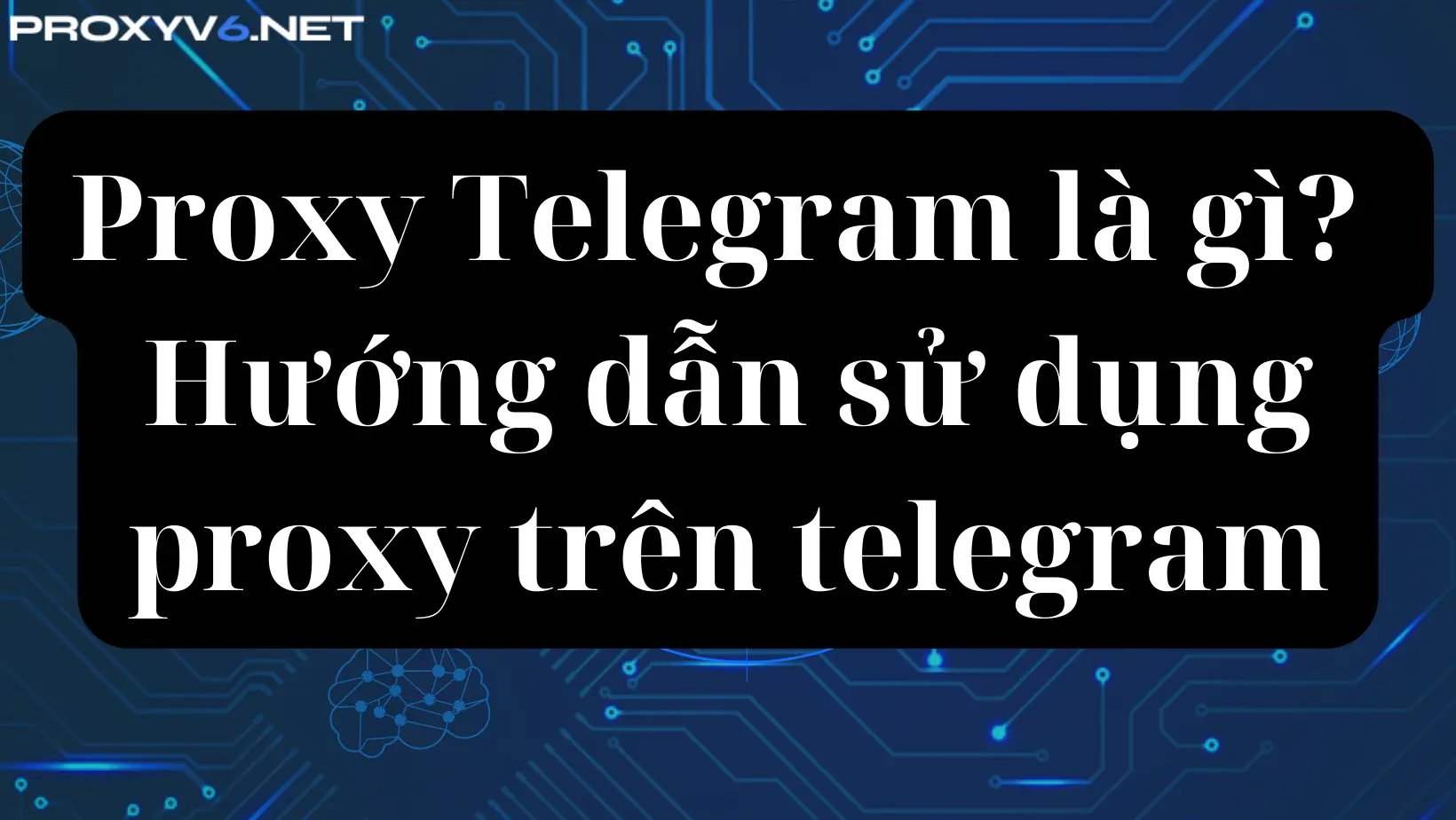 Proxy Telegram là gì? Hướng dẫn sử dụng proxy trên telegram