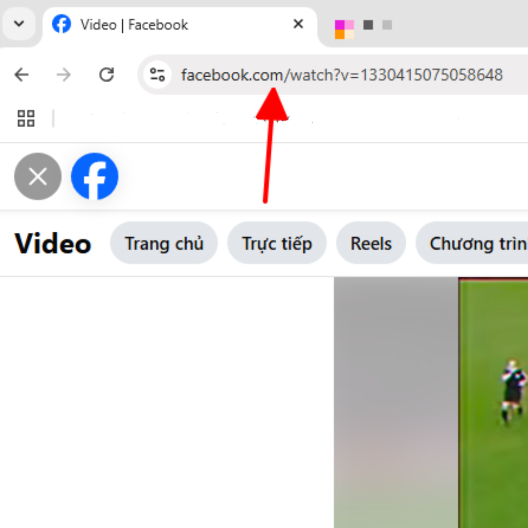 Download video facebook